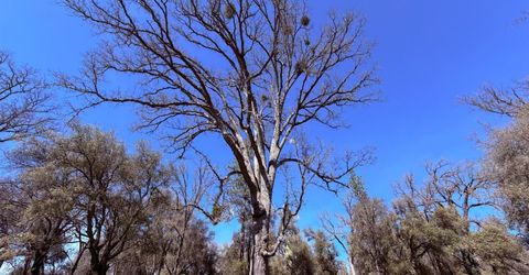 2901 Cedar Creek Rd, Fiddletown, CA 95629 Photo
