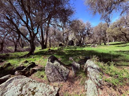 2901 Cedar Creek Rd, Fiddletown, CA 95629 Photo
