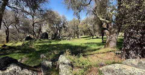2901 Cedar Creek Rd, Fiddletown, CA 95629 Photo