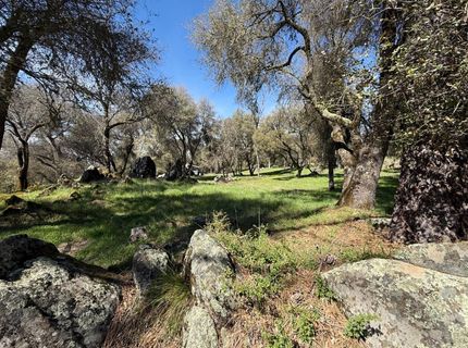 2901 Cedar Creek Rd, Fiddletown, CA 95629 Photo