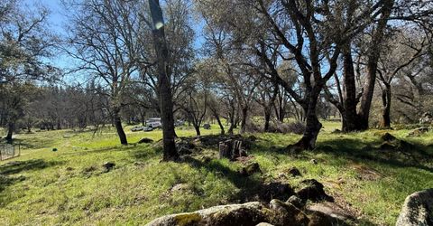 2901 Cedar Creek Rd, Fiddletown, CA 95629 Photo