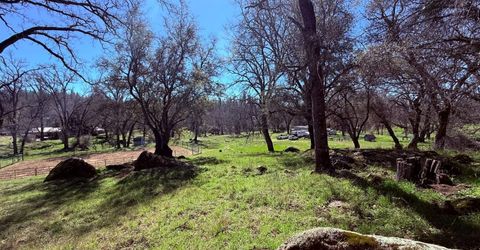 2901 Cedar Creek Rd, Fiddletown, CA 95629 Photo