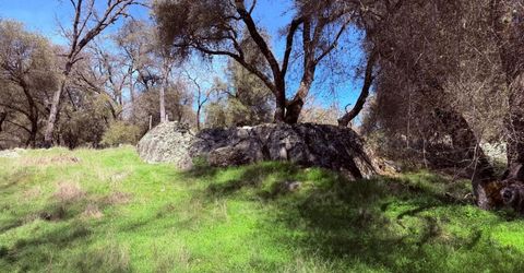 2901 Cedar Creek Rd, Fiddletown, CA 95629 Photo
