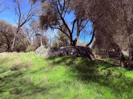 2901 Cedar Creek Rd, Fiddletown, CA 95629 Photo