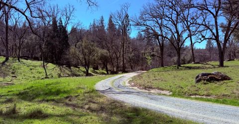 2901 Cedar Creek Rd, Fiddletown, CA 95629 Photo