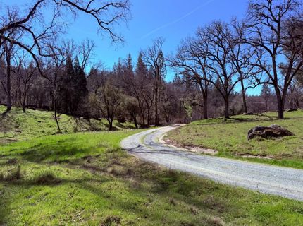 2901 Cedar Creek Rd, Fiddletown, CA 95629 Photo