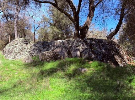 2901 Cedar Creek Rd, Fiddletown, CA 95629 Photo