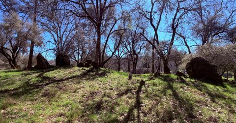 2901 Cedar Creek Rd, Fiddletown, CA 95629 Photo