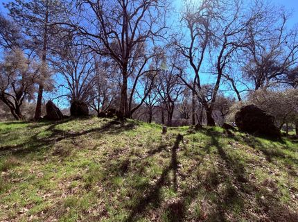 2901 Cedar Creek Rd, Fiddletown, CA 95629 Photo