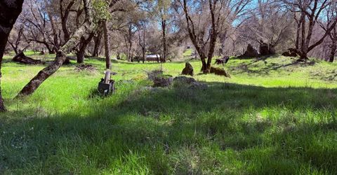 2901 Cedar Creek Rd, Fiddletown, CA 95629 Photo