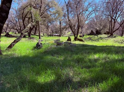 2901 Cedar Creek Rd, Fiddletown, CA 95629 Photo