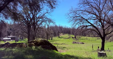 2901 Cedar Creek Rd, Fiddletown, CA 95629 Photo