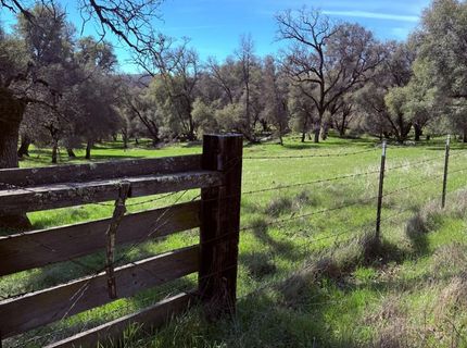 2901 Cedar Creek Rd, Fiddletown, CA 95629 Photo