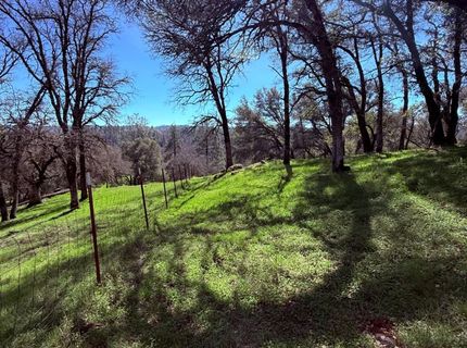 2901 Cedar Creek Rd, Fiddletown, CA 95629 Photo