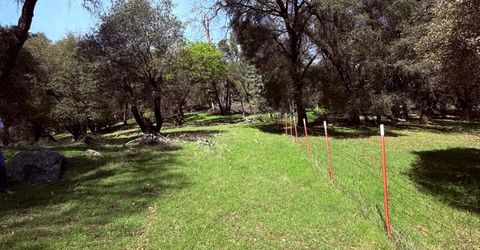 2901 Cedar Creek Rd, Fiddletown, CA 95629 Photo
