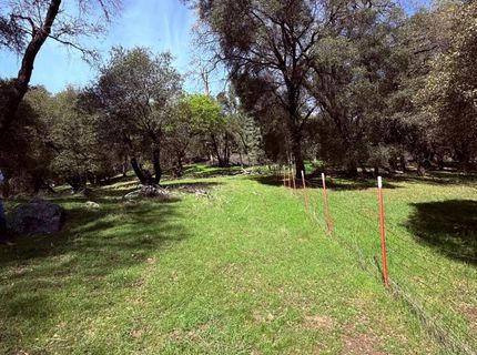 2901 Cedar Creek Rd, Fiddletown, CA 95629 Photo