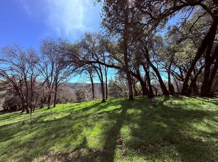 2901 Cedar Creek Rd, Fiddletown, CA 95629 Photo