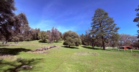 2901 Cedar Creek Rd, Fiddletown, CA 95629 Photo