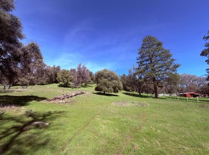 2901 Cedar Creek Rd, Fiddletown, CA 95629 Photo