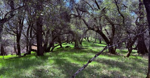 2901 Cedar Creek Rd, Fiddletown, CA 95629 Photo