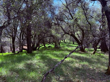 2901 Cedar Creek Rd, Fiddletown, CA 95629 Photo