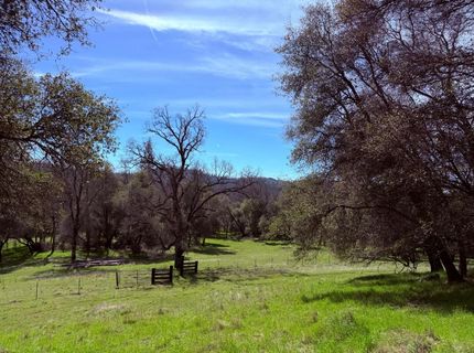2901 Cedar Creek Rd, Fiddletown, CA 95629 Photo