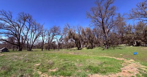 2901 Cedar Creek Rd, Fiddletown, CA 95629 Photo