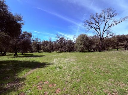 2901 Cedar Creek Rd, Fiddletown, CA 95629 Photo