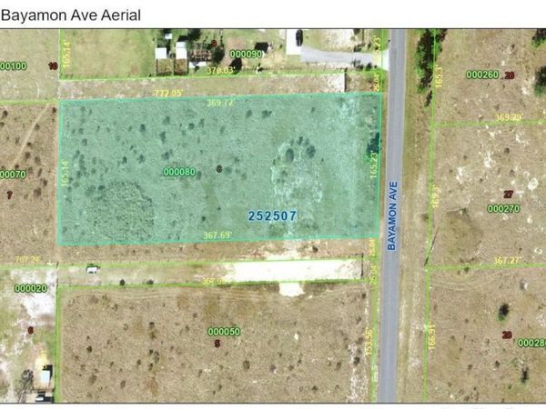 0 BAYAMON AVENUE , POLK CITY, FL 33868