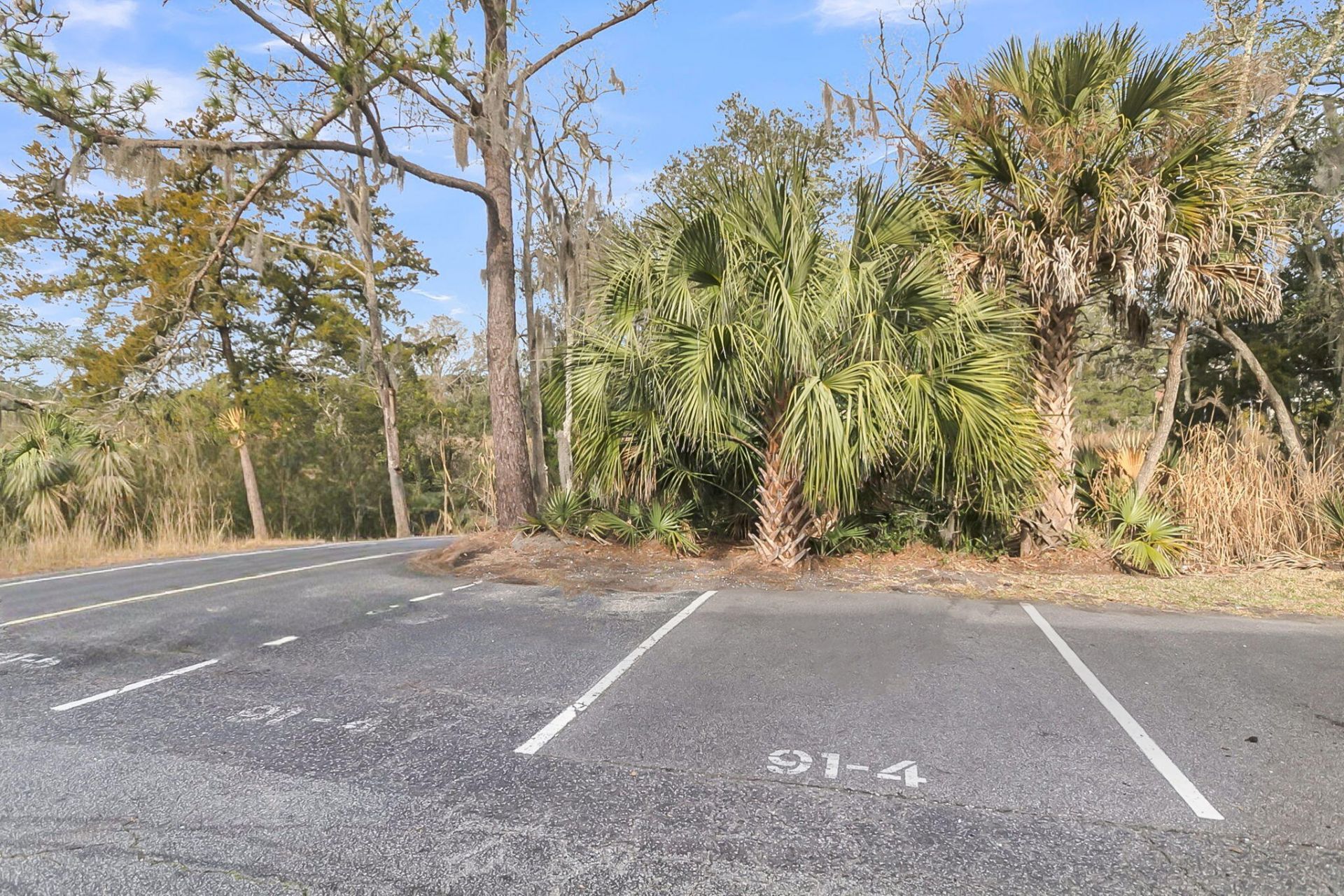 91 Ashley Hall Plantation Photo 29