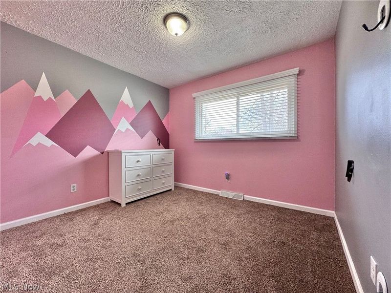 4230 Selkirk Avenue, Austintown, OH 44511 Photo 15