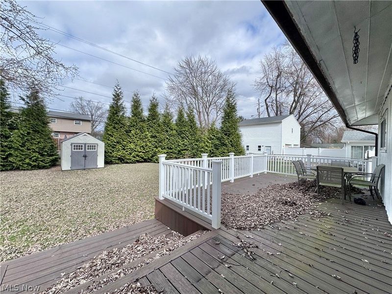 4230 Selkirk Avenue, Austintown, OH 44511 Photo 3