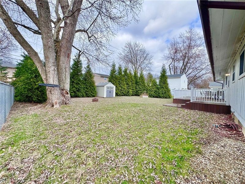 4230 Selkirk Avenue, Austintown, OH 44511 Photo 4