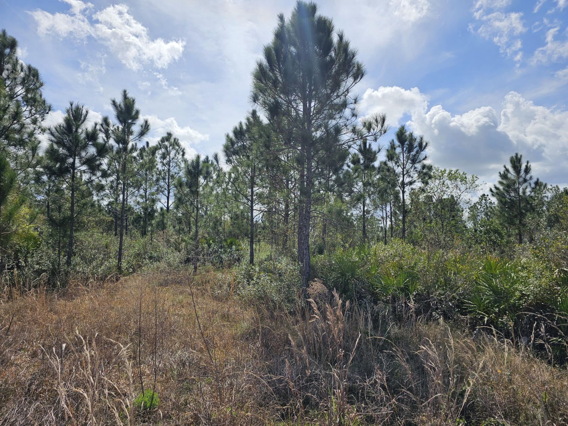 17720 NW 268th Street, Okeechobee, FL 34972 Photo