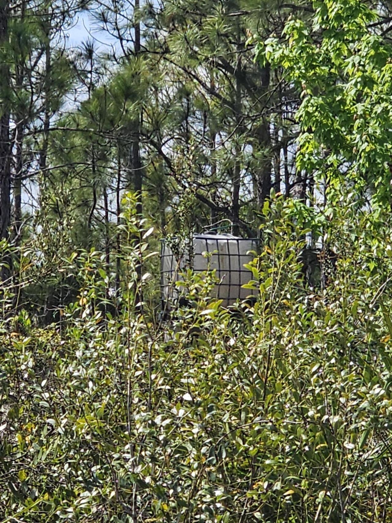 17720 NW 268th Street, Okeechobee, FL 34972 Photo