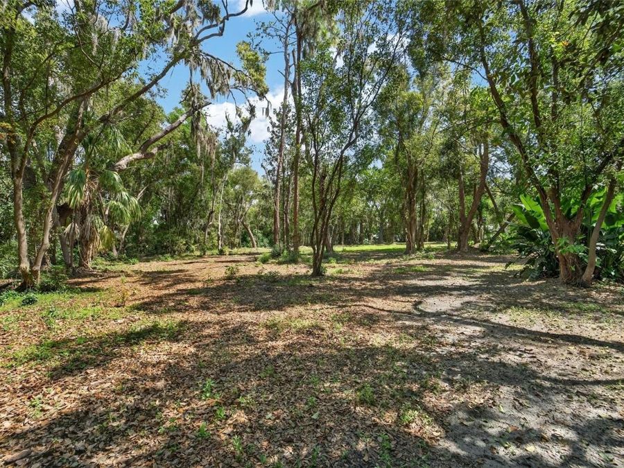 Property Image 60