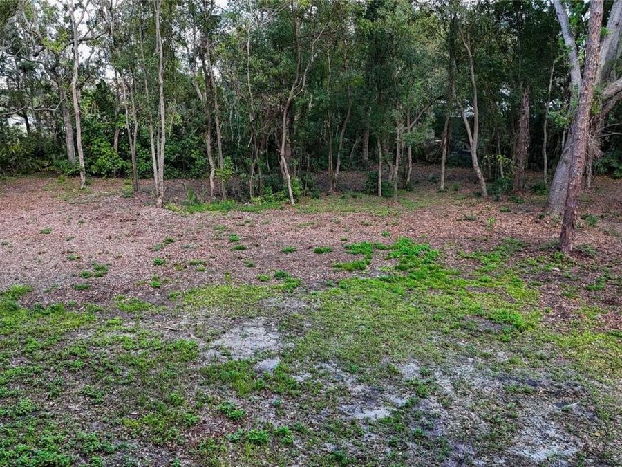 Property Image 71
