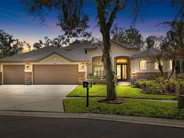 5919 JAEGERGLEN DRIVE , LITHIA, FL 33547