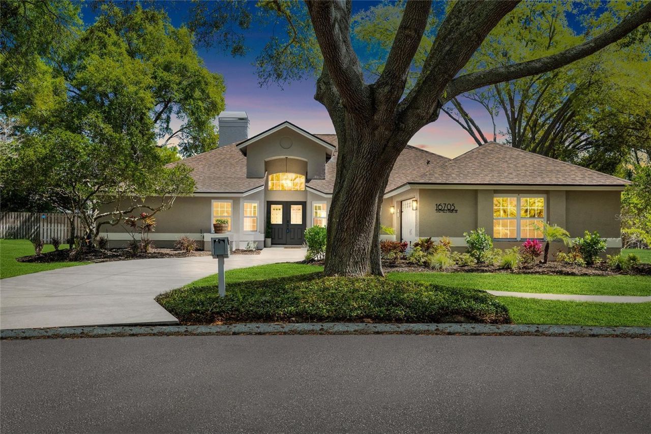 16705 Sheffield Park Drive, Lutz, FL 33549 Main Photo