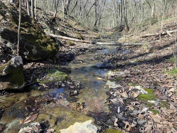 4411 Red Bluff Rd. , Marshall, AR 72650