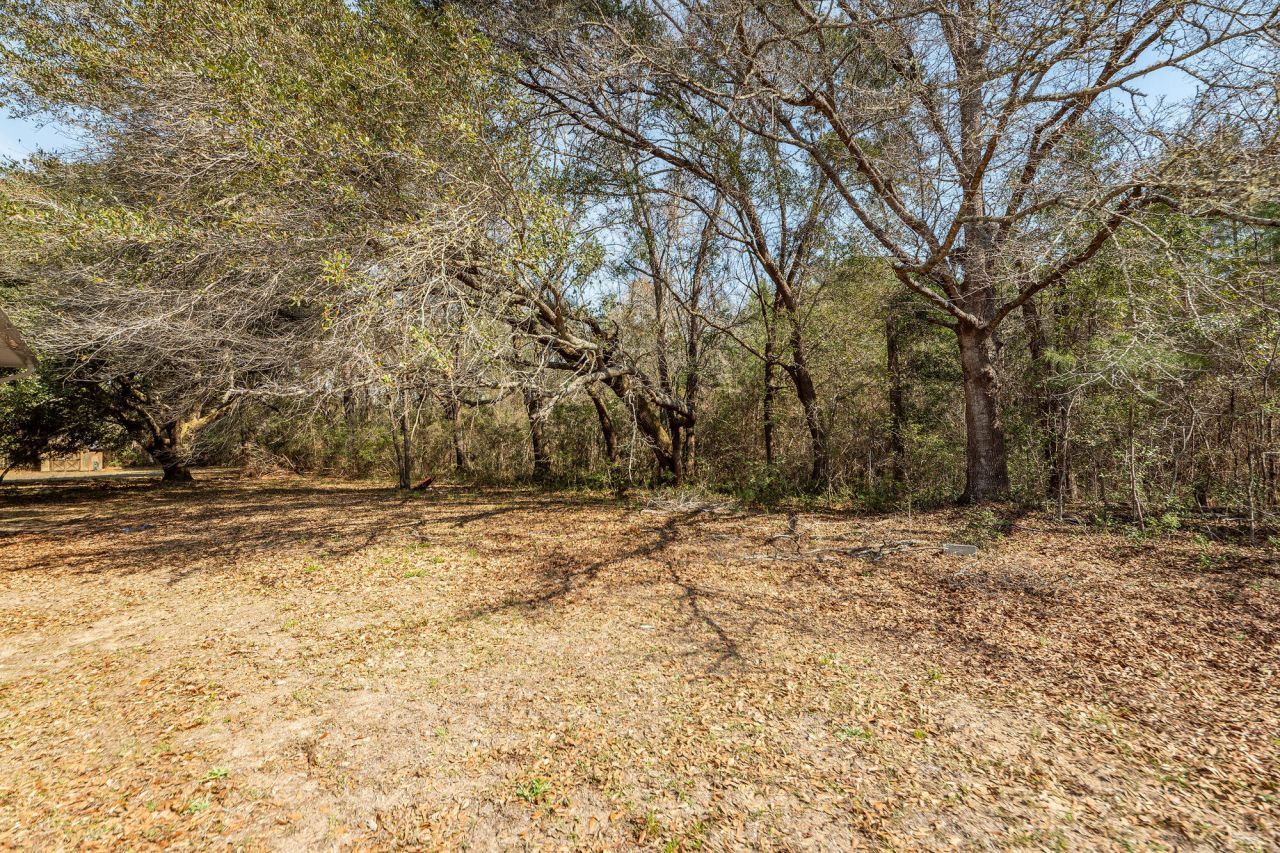 1124 Sallie Manigault Lane Photo 51