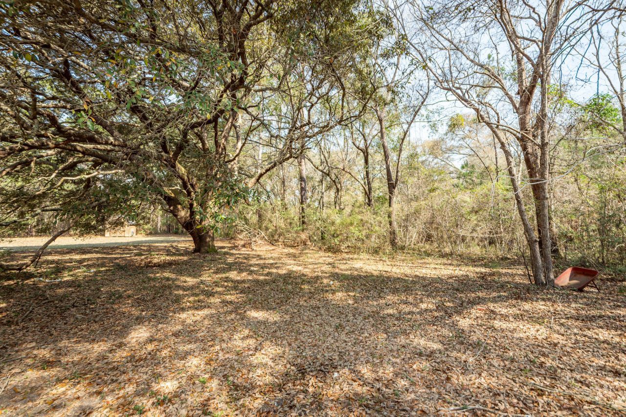 1124 Sallie Manigault Lane Photo 52