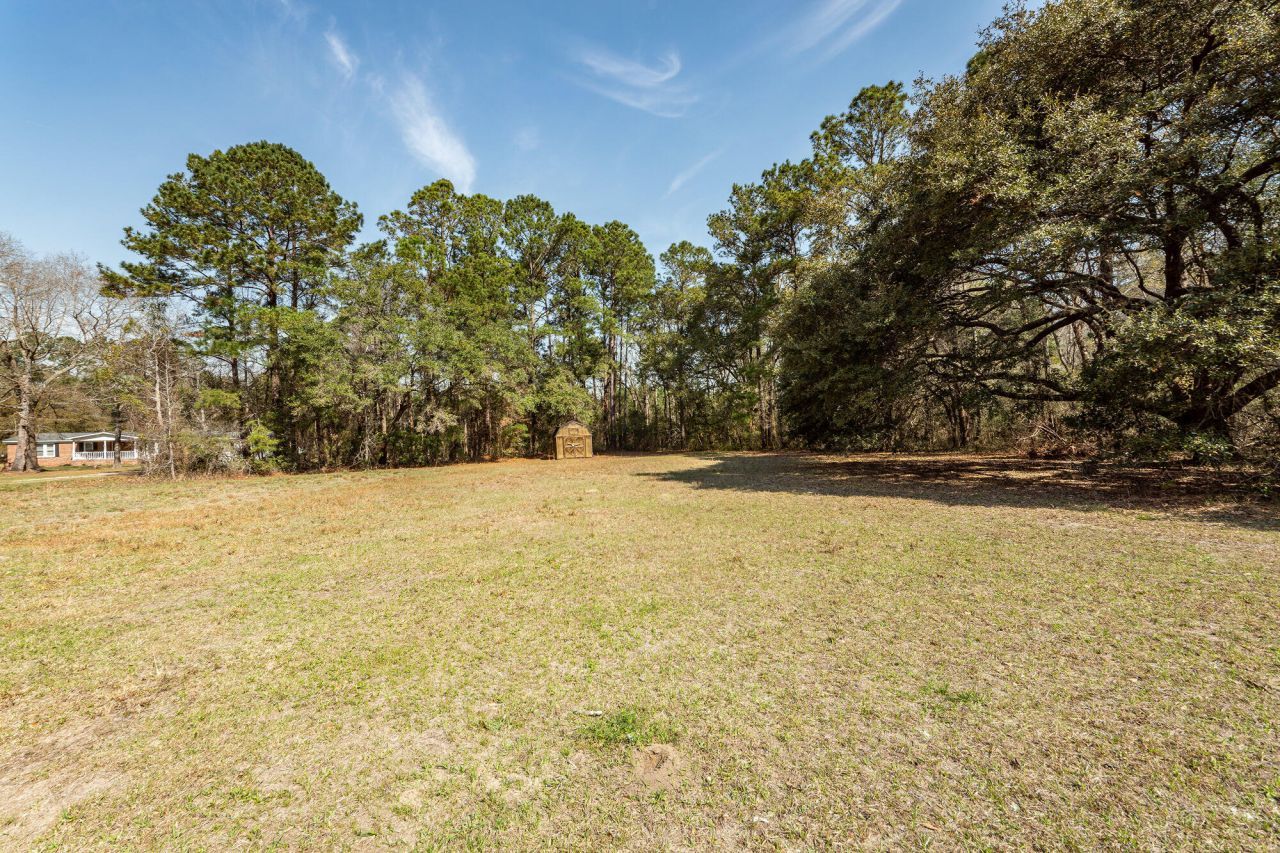 1124 Sallie Manigault Lane Photo 53