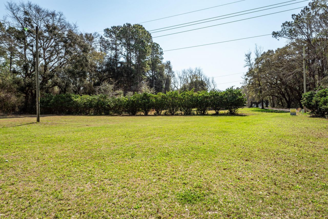 1124 Sallie Manigault Lane Photo 54