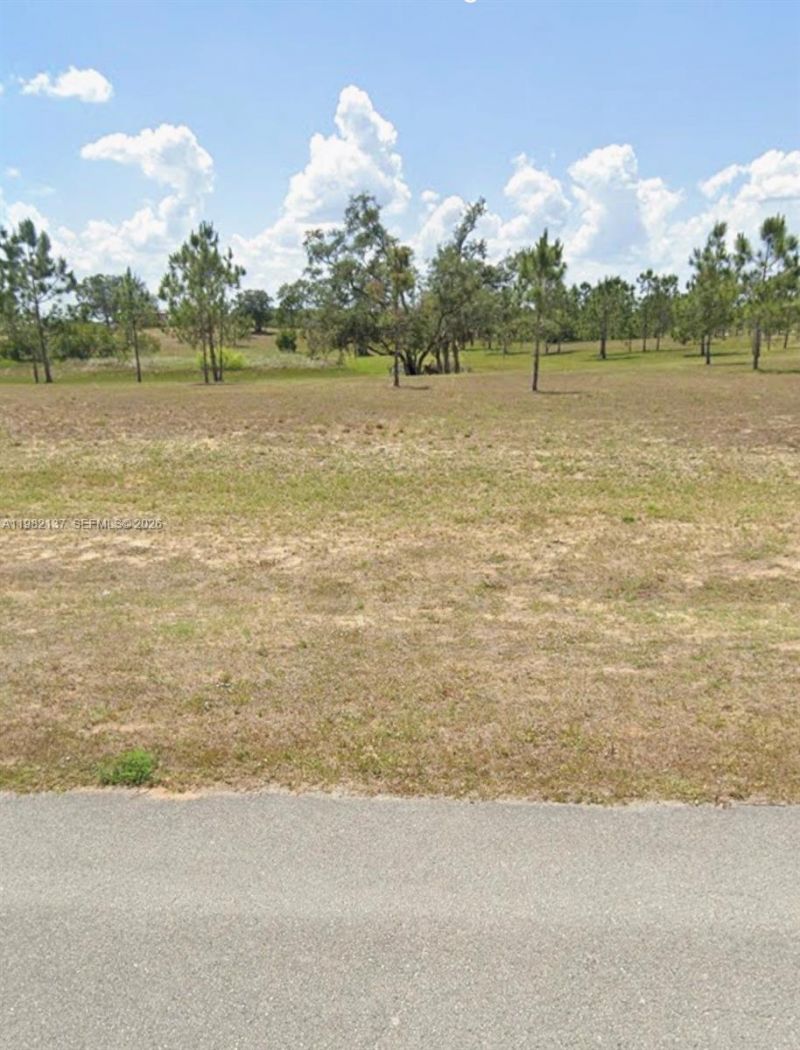 1009 Orange Creek Ln, Sebring, FL 33870 Photo