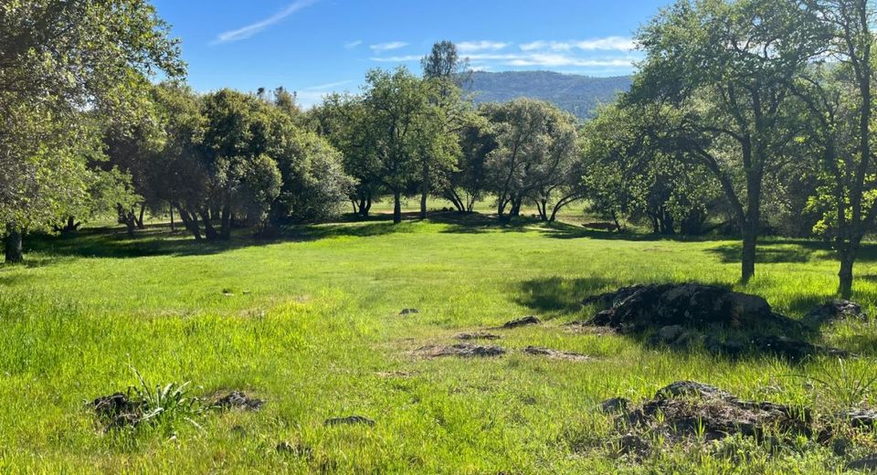 255 Blair Mine Rd, Angels Camp, CA 95222 Photo