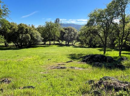 255 Blair Mine Rd, Angels Camp, CA 95222 Photo