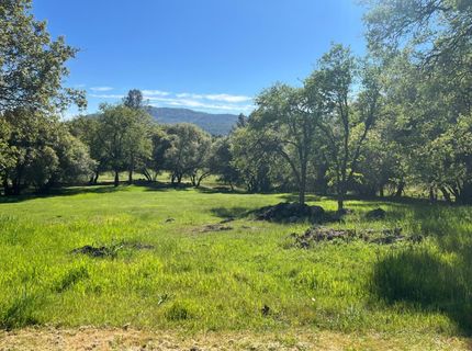255 Blair Mine Rd, Angels Camp, CA 95222 Photo