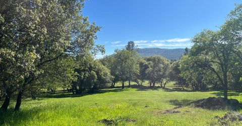 255 Blair Mine Rd, Angels Camp, CA 95222 Photo