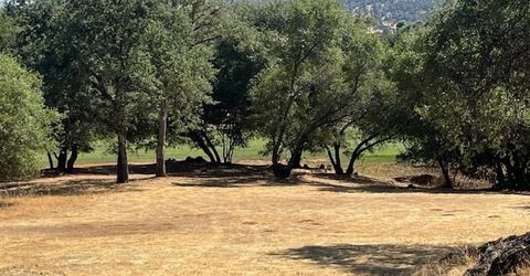 255 Blair Mine Rd, Angels Camp, CA 95222 Photo